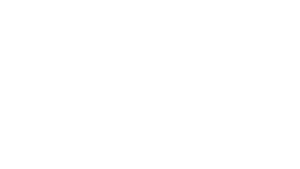 Sierra Equine logo